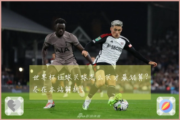 世界杯让球买球怎么买才最划算？尽在本站解析！
