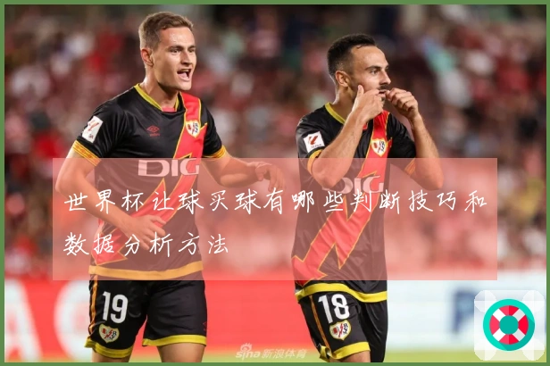 世界杯让球买球有哪些判断技巧和数据分析方法