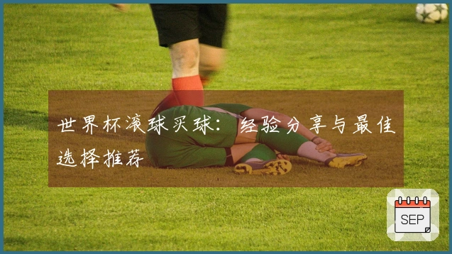 世界杯滚球买球：经验分享与最佳选择推荐