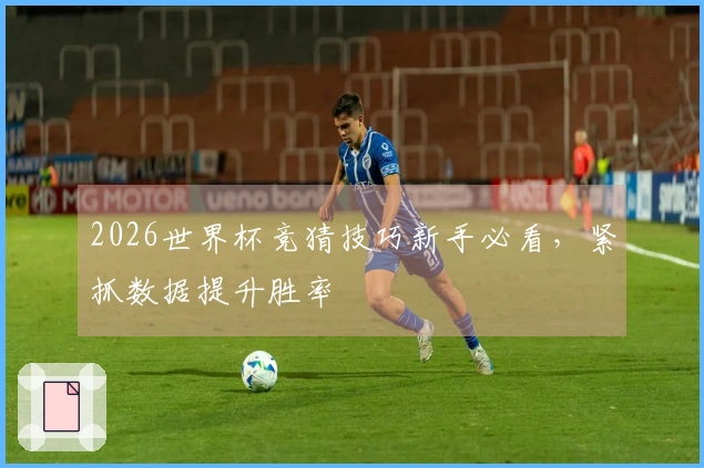 2026世界杯竞猜技巧新手必看，紧抓数据提升胜率