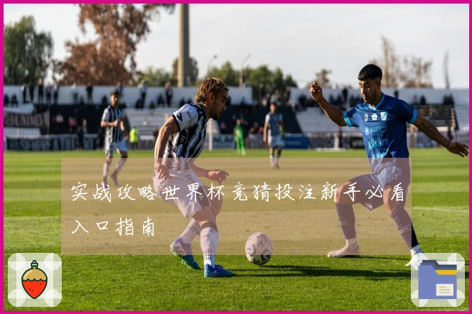 实战攻略世界杯竞猜投注新手必看入口指南
