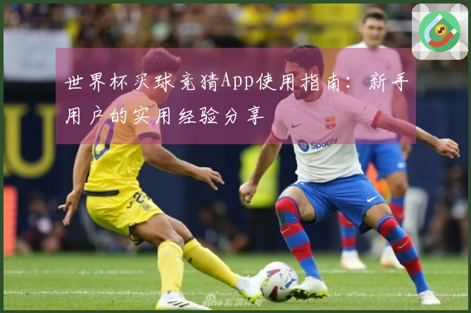 世界杯买球竞猜App使用指南：新手用户的实用经验分享